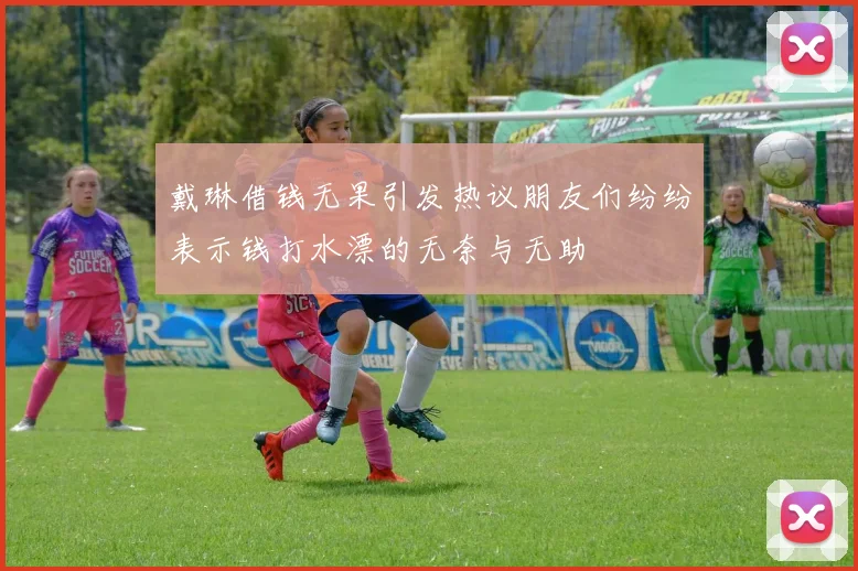 戴琳借钱无果引发热议朋友们纷纷表示钱打水漂的无奈与无助