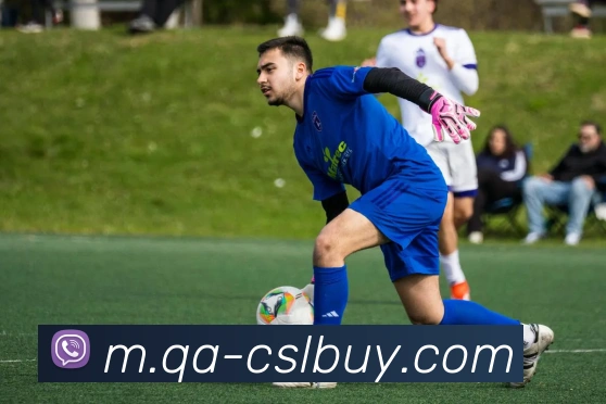 中超买球官网发展历程